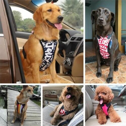 Bayppy Dog Harness