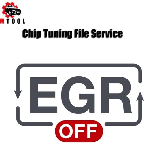 Chip Tuning File Service for EGR OFF DELETE