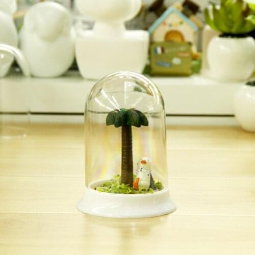 Supplying small potted meat mini animal more strange new radiation Desktop potted plants wholesale Decoration