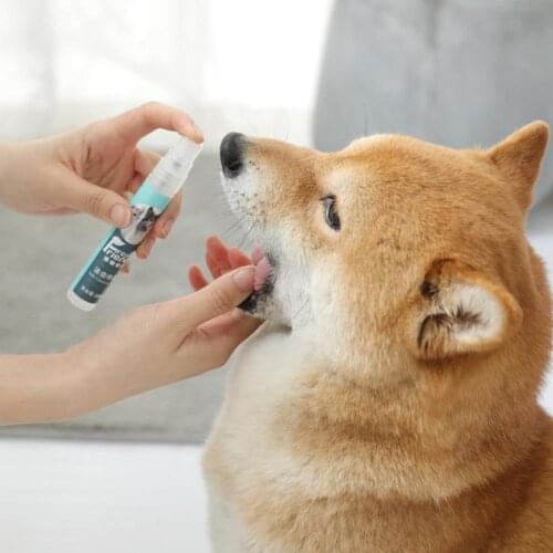 AsyPets  China