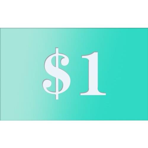 A Link for paying extra cost(1 USD