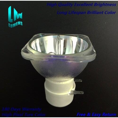 BL-FU185A SP.8EH01GC01 projector lamp for Optoma EX531 EX531P EX536 EX536L HD600X HD600X-LV HD66 HD67 HD6700 HD6720 HD67N HW536