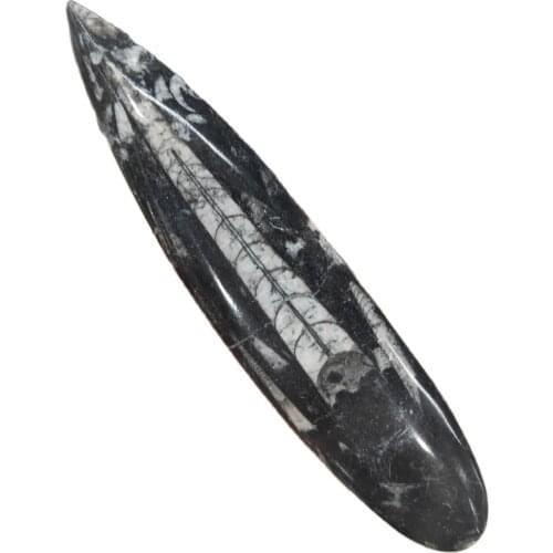 Natural right Angle fossil Crystal Specimen Rare Polished Collectible natural stones and minerals