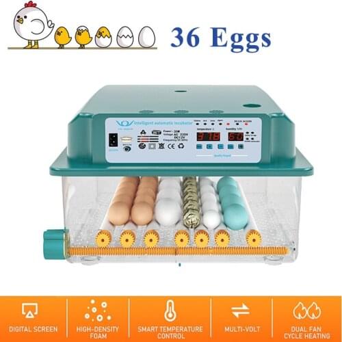 36 Eggs Fully Automatic Egg Incubator 110V/220V Household Farm Digital Chick Brooder Hatcher Machine with Intelligent Turn Egg