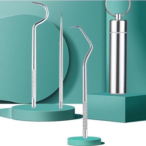 4Pcs/Set Toothpick Easy to Use In-depth Cleaning Stainless Steel Picktooth Keychain for Daily Life