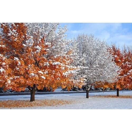 Winter snow tree 5D DIY Diamond Painting landscape Diamond Embroidery Full Square Picture Of Rhinestones mosaic Decoration TY947