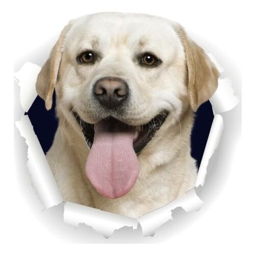 Three Ratels 3D Labrador Retrievers Dog Stickers Super Staffie decal on Wall Fridge Toilet car bike