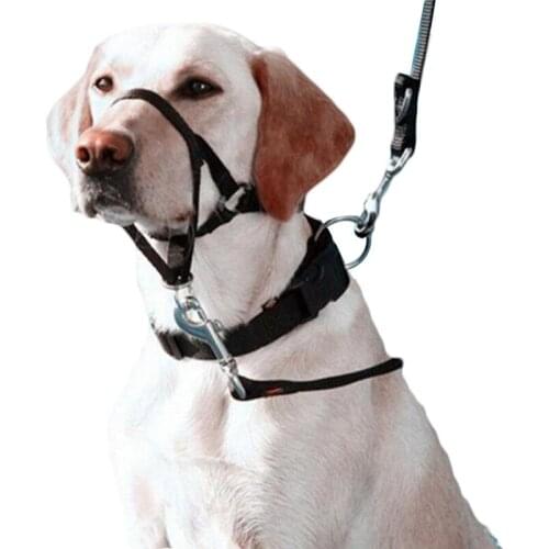 Nylon Dog Muzzle Adjustable Pet Head Collar Dog Training Halter Stop Dog Bark Pulling Training Strap Pet Mouth Muzzles