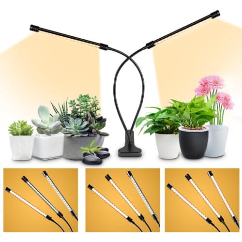 STUXMOS Plant Lamps