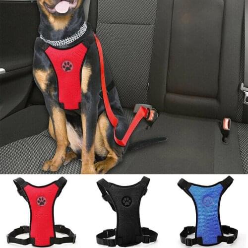 Tonbux Leashes For Dogs