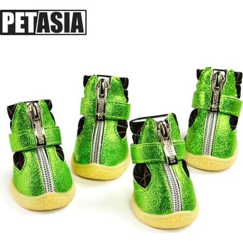 Dresspet Women's Shoes