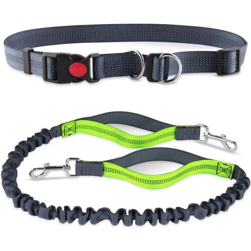 Retractable Pet Dog Leash Nylon Dog Puppy Cat Traction Rope Belt Reflective Dog Leash for Small Medium Dogs Jogging dog leashes