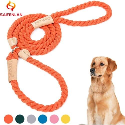 Double Strand Rope Dog Leashes Cotton P Chain Buckle Rainbow Color Pet Traction Rope Collar Set For Medium Big Dogs 1.7M