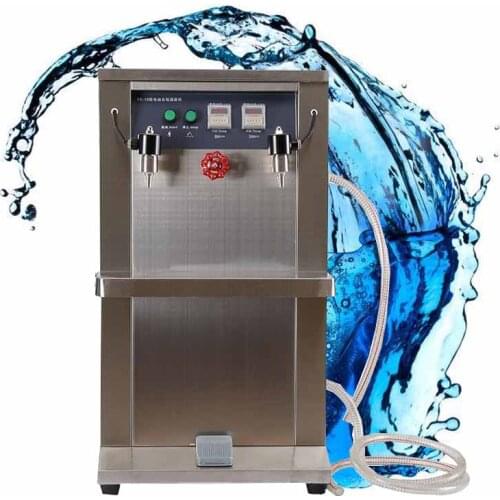 Vertical Electric Liquid Filling Machine Quantitative Stainless Steel Double Head Filling Machine 220V