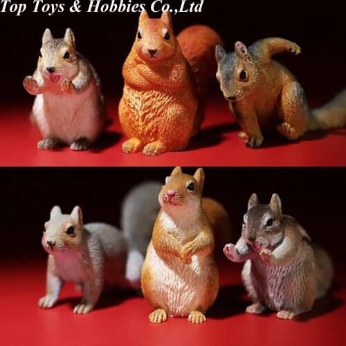 MR.Z 1/6 MRZ044 Squirrell Resin Animal Sciuridae Collectible Scene Props Toys