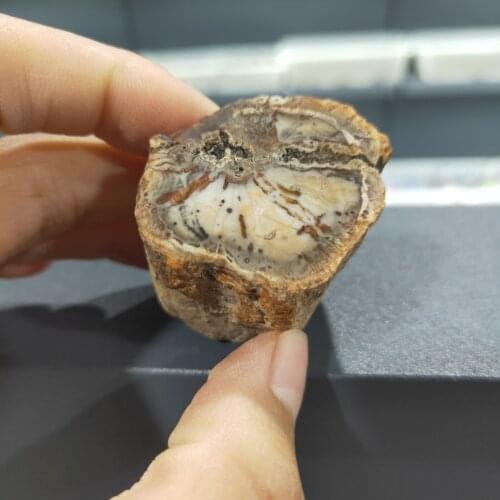 1pcs natural stones and minerals crystal woodstone tree for coaster home decoration wooden madagascar