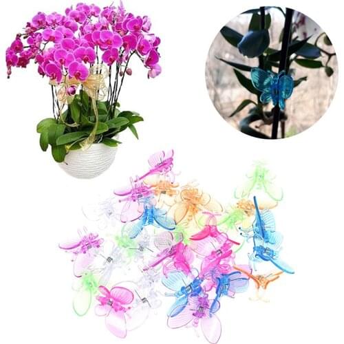 30 Pcs Butterfly Orchid Clips Plant Clips Garden Flower Vine Support Clips