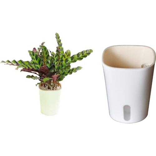 7'Self Watering Planter Large Decorative Flowers Pots For African Violet Orchid