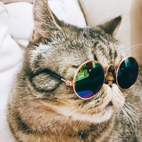 Summer Casual Pet Sunglasses Heart-shaped Round Shape Cat Dog Spoof Lovely Personality Glasses Pet Accessories