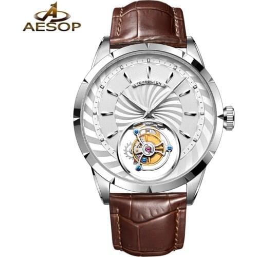 Relogio Masculino AESOP Brand Luxury Watches Mens Fashion Waterproof Original Tourbillon Mechanical Automatic Wristwatch Clock