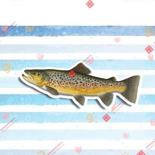 13cm X 5cm Fish Car Stickers Trout Vinyl Fishing Sticker Laptop Travel Luggage Waterproof 3D Car Styling Jump Time