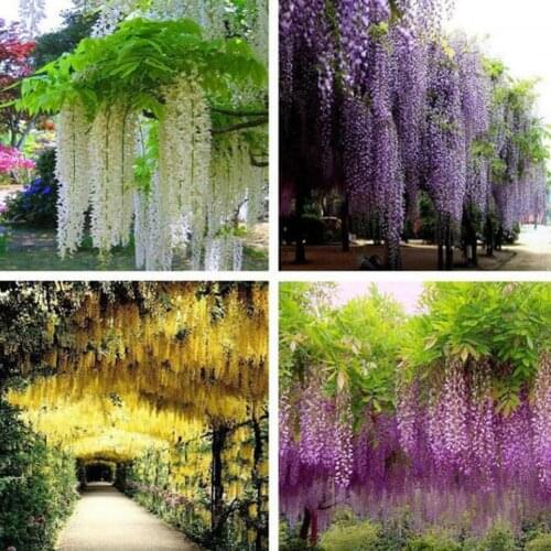 110cm 3 Branches/Pc Gillyflower Artificial Flower Vine Fake Hanging Garland Bunch Wedding Party Home Decor Fake Flowers