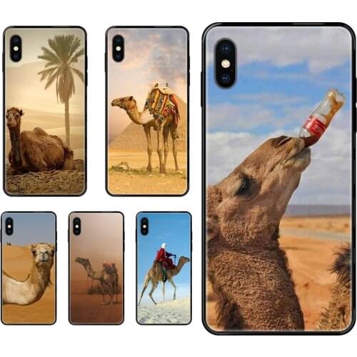 For Galaxy Note 4 8 9 10 20 Plus Pro J6 J7 J8 M30s M80s Ultra 2016 2017 2018 Camel Desert On Sale! Cool Charming Art Diy Luxury