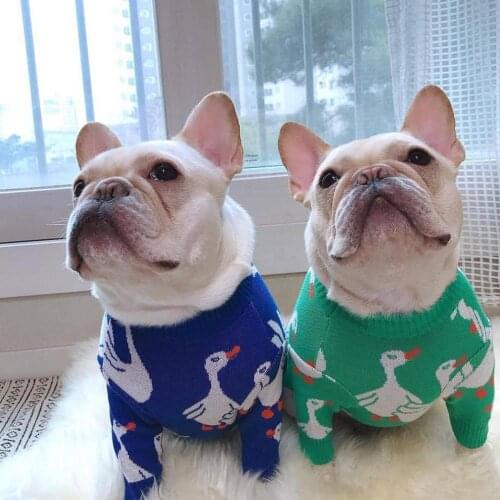 Small Puppy Pet Dog Cat Knitted Jumper Blue Green Dog Sweater Duck Pattern Warm Coat Puppy Dog Winter Clothes