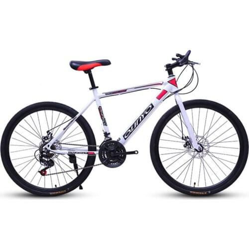 Mountain Bike Adult Men and Women Variable Speed Off Road Bicycle Youth Student Shock Road Racing 2019 New