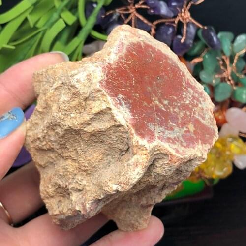 Natural Petrified Wood Fossil Original Stone Raw Rock Crystal Quartz Mineral Specimen Healing Reiki Home Decor