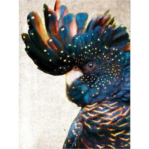Diamond Painting Cross Stitch DIY Diamond Embroidery Round Color Diamond Parrot Picture Needlework square rhinestone arts L768