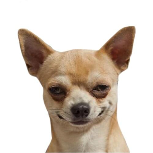 Dawasaru Chihuahua Pet Car Sticker Waterproof Decal Laptop Suitcase Truck Motorcycle Auto Accessories Decoration PVC,13cm*12cm