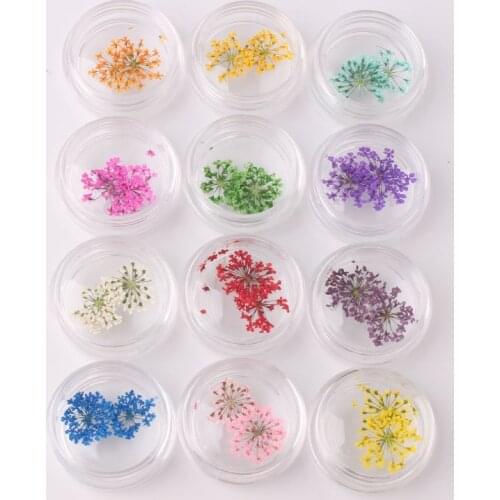 1 Box Mix Dried Flowers Nail Decorations Jewelry Natural Floral Leaf Stickers 3D Art Designs Polish Manicure Accessories