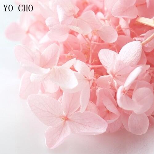 YO CHO 20g Fresh Preserved Flowers Natural Dry Flower Box Preserved Hydrangea Flower Head Valentines Day DIY Gift Wedding Decor