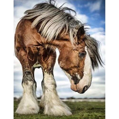3d diy diamond embroidery horses cross stitch Clydesdale Draft Horse full square round diamond painting animal mosaic