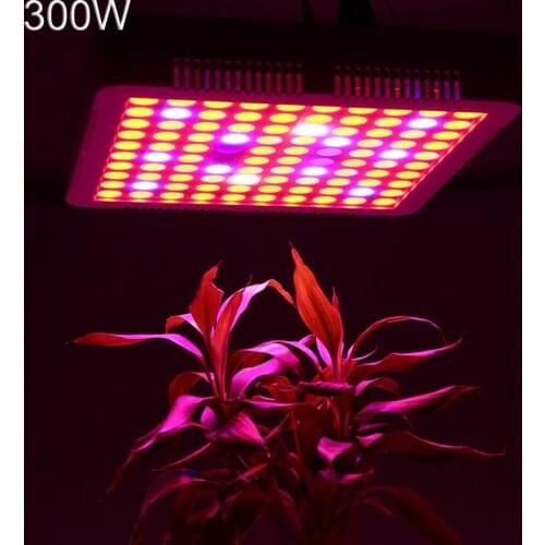 Full Spectrum 300W 250LED Grow Light For Plants Indoor Lamp Seed Growing Lights Tent Phyto Fitolampy Growth Lamps