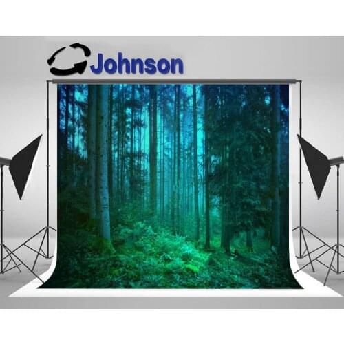 Mystical Mystic Blue And Green Seasonal Fairytale Forest photo backdrop Computer print wall background