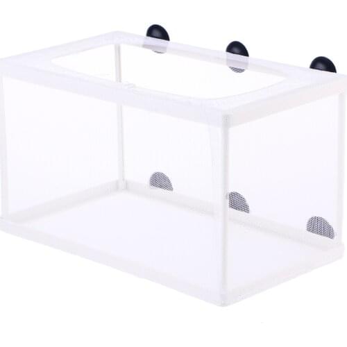Fish Breeder Net Big Size Fry Hatchery Incubator with Suction Cup for Aquarium