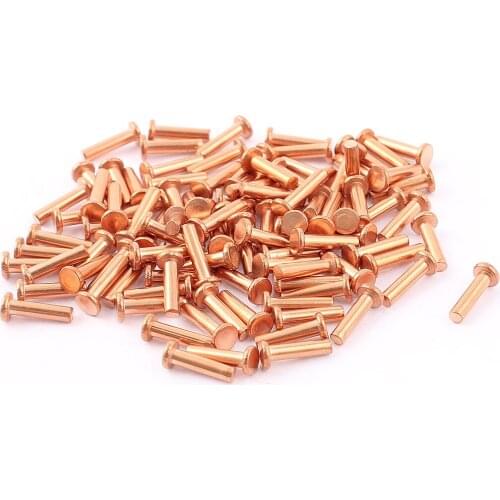 100Pcs Long Flat Head Bolts Copper Solid Rivets Fasteners (M2 M2.5 )
