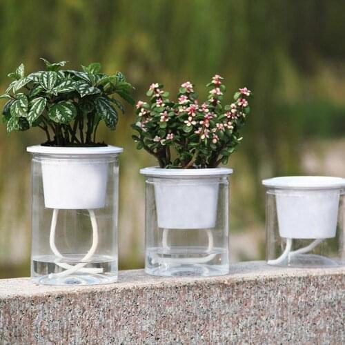 Clear Automatic Water Absorption Self Watering Hydroponic Flower Pot Planter