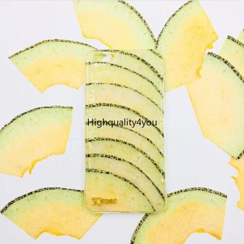 10pcs Dried Pressed Exopy Cantaloupe Slices Plant Herbarium For Jewelry Photo Frame Phone Case Craft DIY Making Accessories