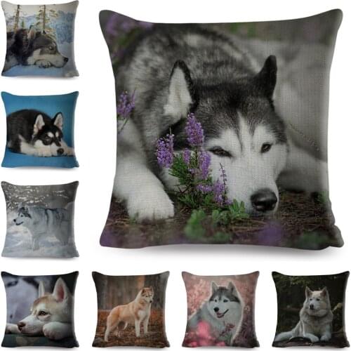 Siberian Husky Pillowcase Decor Cute Dog Pet Animal Cushion Cover for Sofa Home Chidren Room 45*45cm Polyester Pillow Case