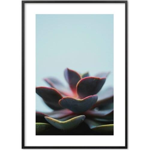Succulent Plants Cactus Botanical Nordic Wall Art Print Paper Painting Poster And Prints Wall Pictures For Living Room Decor