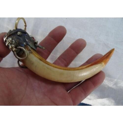 Lion a package boar tooth enamel antique town house to ward off bad luck