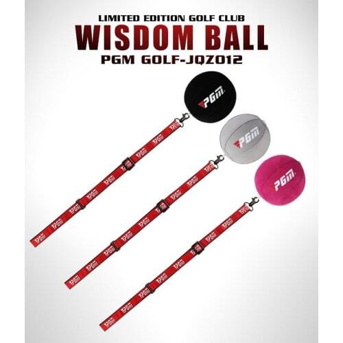 PGM Portable Swing Arm Corrector Posture Auxiliary Correction Training Aids Golf Accessories Inflatable Golf Smart Ball Trainer