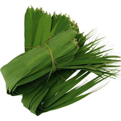 100 pcs Wild dried zongye DIY food material zongzi leaves free shipping pure natural reed leaves with cotton string