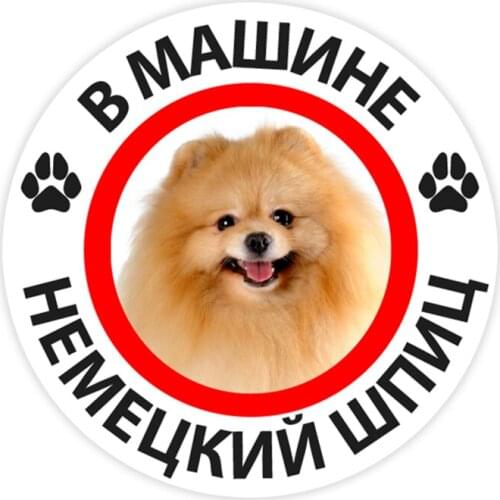 B0272# 10/13/15 cm German Spitz in the Car Self-adhesive PVC Decal Car Sticker Waterproof Auto Decors on Bumper Rear Window