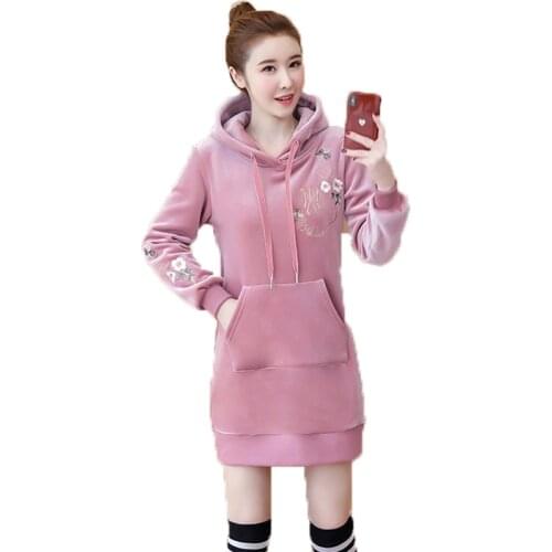 Autumn Winter Sweatshirt Long Sleeve Dress 2020 Female Casual Hooded Collar Pocket Design Simple Style Drawstring Dress FC278
