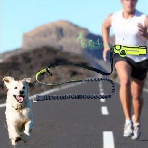 Dog Running Leash Nylon Hand Freely Pet Products Pet Pocket Running Two-Piece Rope Leash Traction Dog Cat Running Training