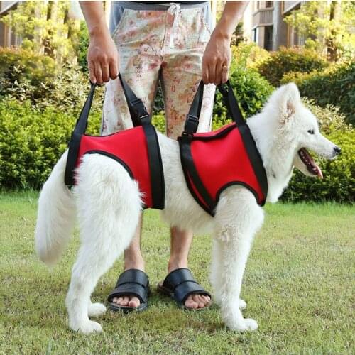 Pet Dog Harness Vest Adjustable Stair Support Pet Harness Vest For Small Large Dog Walking Dogs Cats Harnesses Pets Accessories